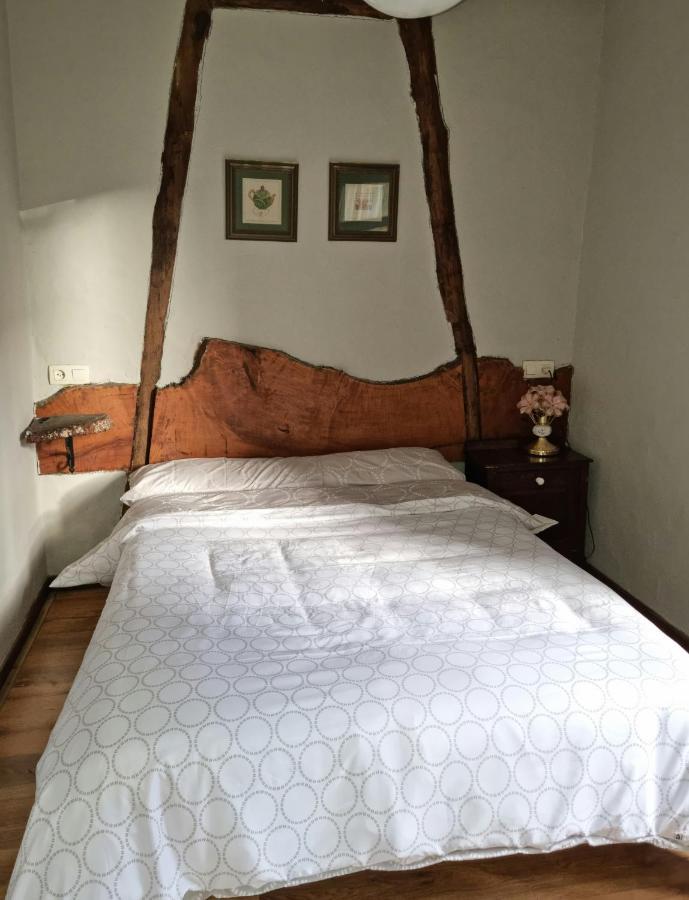Corias Casona Junto Al Narcea Βίλα Εξωτερικό φωτογραφία