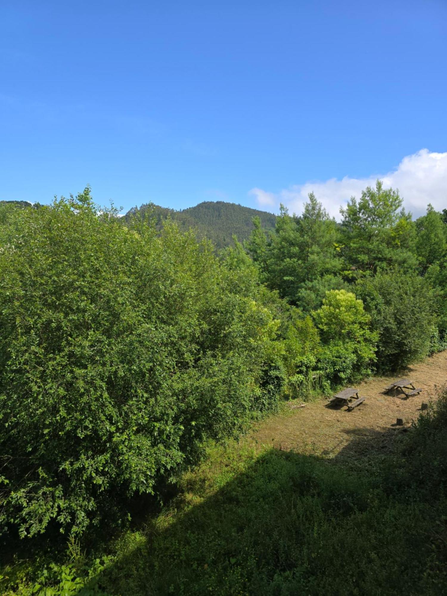 Corias Casona Junto Al Narcea Βίλα Εξωτερικό φωτογραφία
